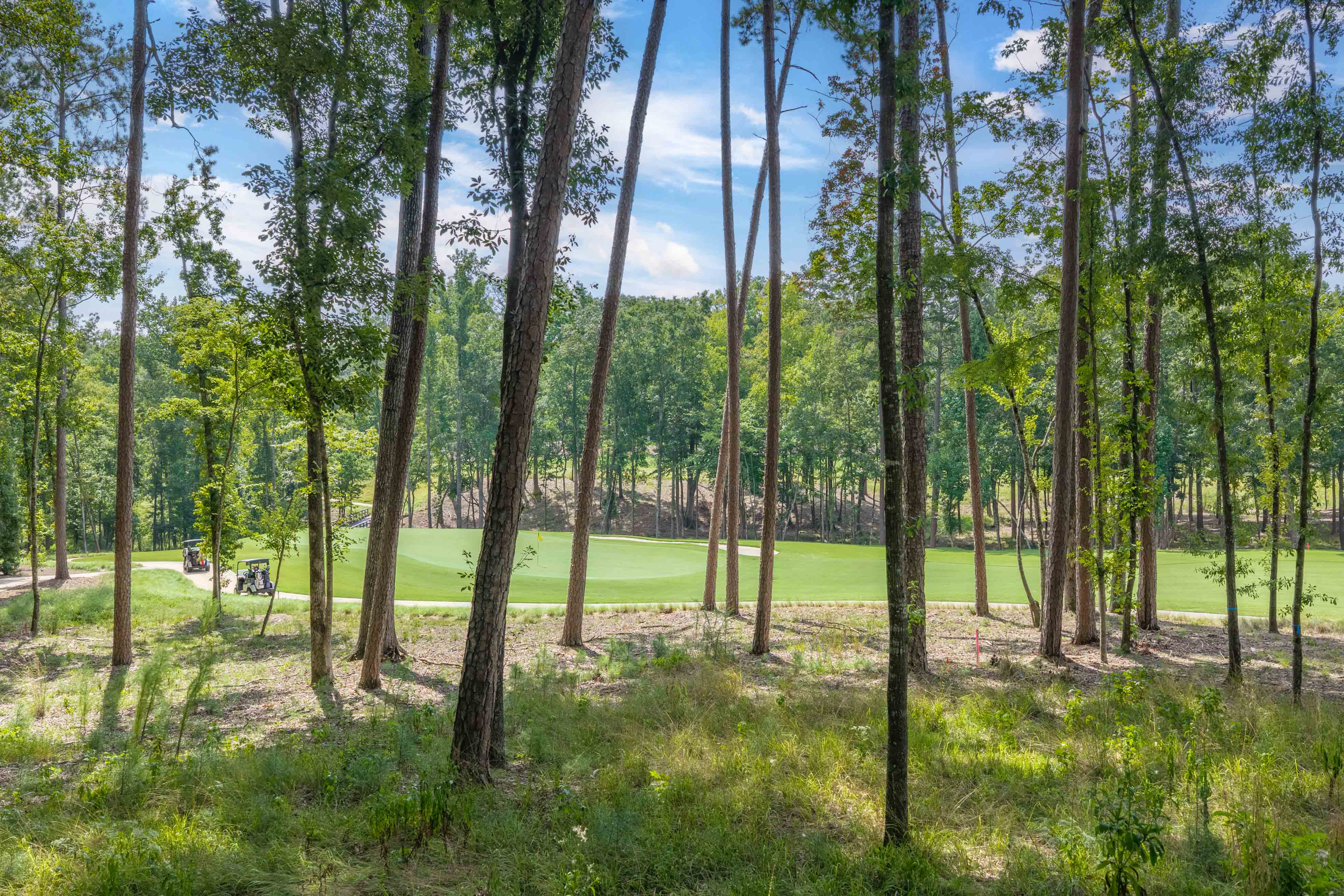 1131 Grove Ridge View image 11